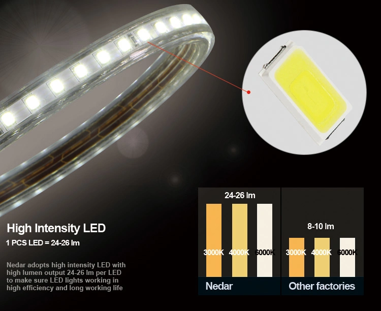 ETL 120V LED Strip Light SMD 2835 120LED 82FT Length 25 Meters Roll Outdoor Used in Decorative Light and Xmas Light