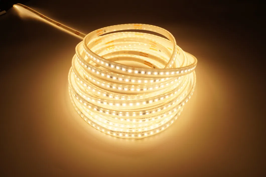 50m SMD2835 High Voltage 60LED 120LED Lighting Strip Light 220V 110V 10cm Cut IP67 Silicone Extrusion Waterproof CE RoHS 230V LED Light Strip Lighting